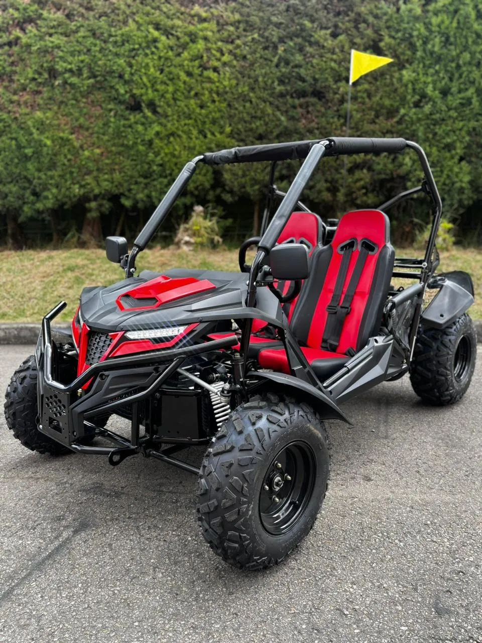 Buggie Arenero 200cc 4x2