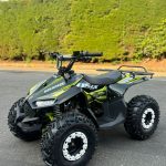 ATV 110