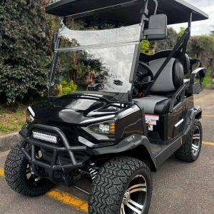 CARRO DE GOLF