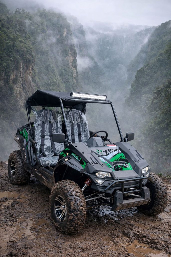 Utv 200cc 4x2